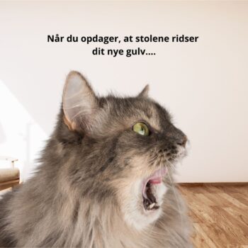 Når du opdager...